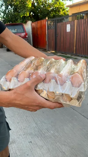 Entrega realizada a cliente